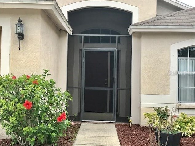 13719 Eve Margaret Ct, Riverview FL  33579-2318 exterior