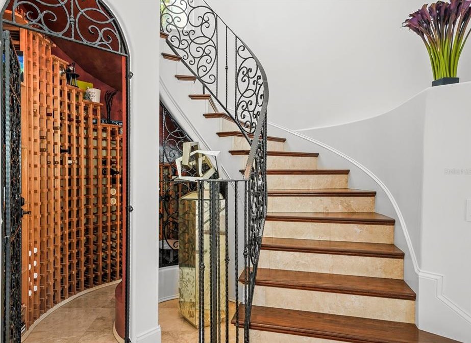 4919 Melrose Ave, Tampa FL 33629-5527 exterior