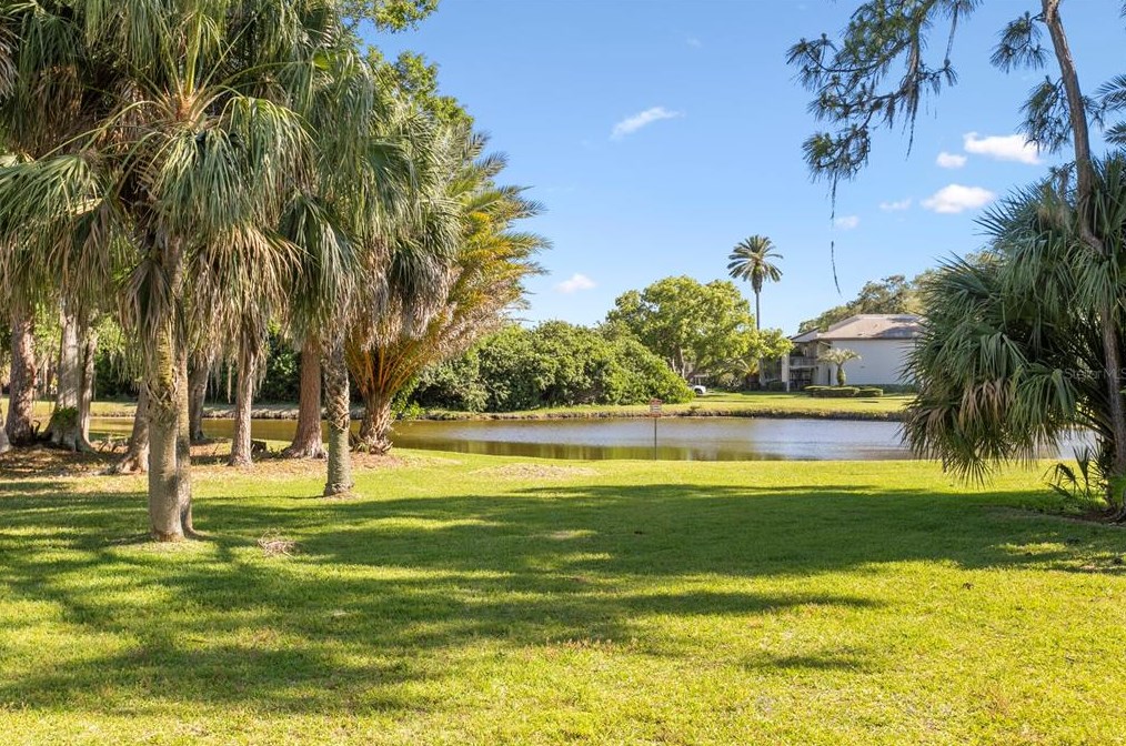 119 Martha Ln #119, Oldsmar, FL 34677