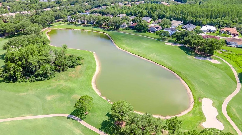 18806 Chemille Dr, Lutz FL  33558-2843 exterior