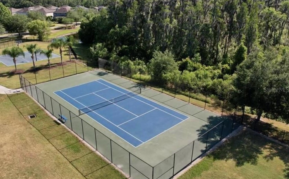 10310 Stone Moss Ave, Tampa FL 33647-3533 exterior