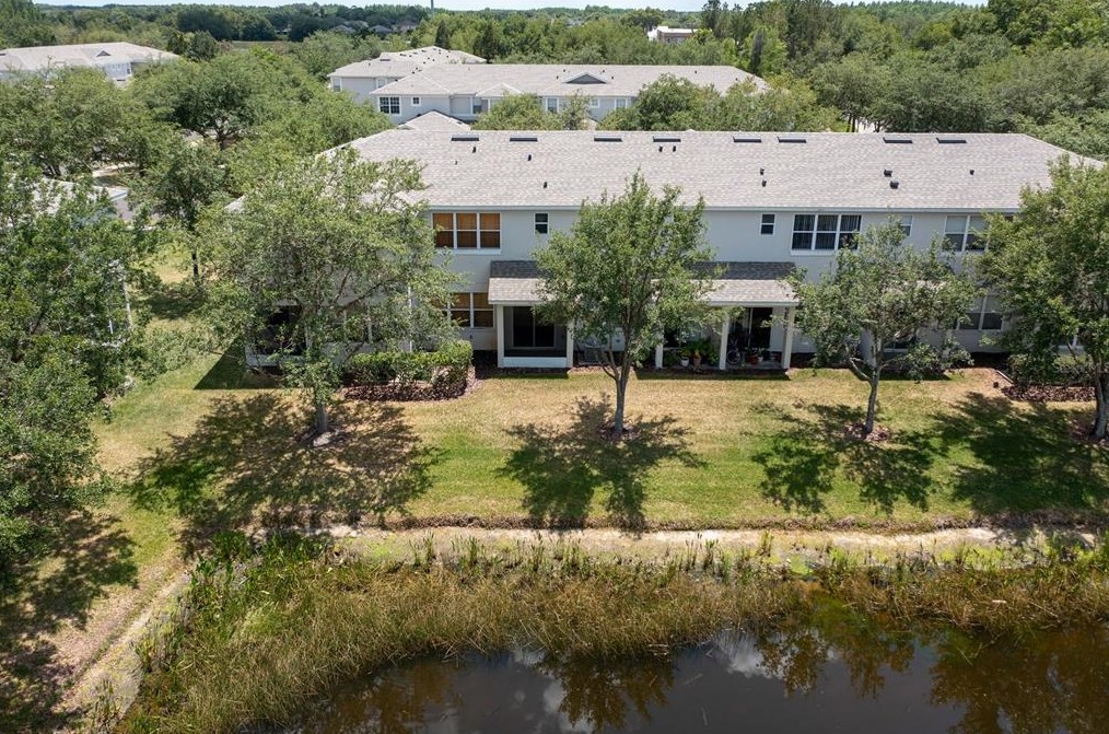 10310 Stone Moss Ave, Tampa FL 33647-3533 exterior