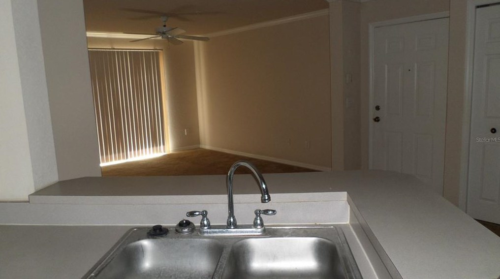 4209 Woodstorks Walk Way, Lutz FL  33558-2775 exterior