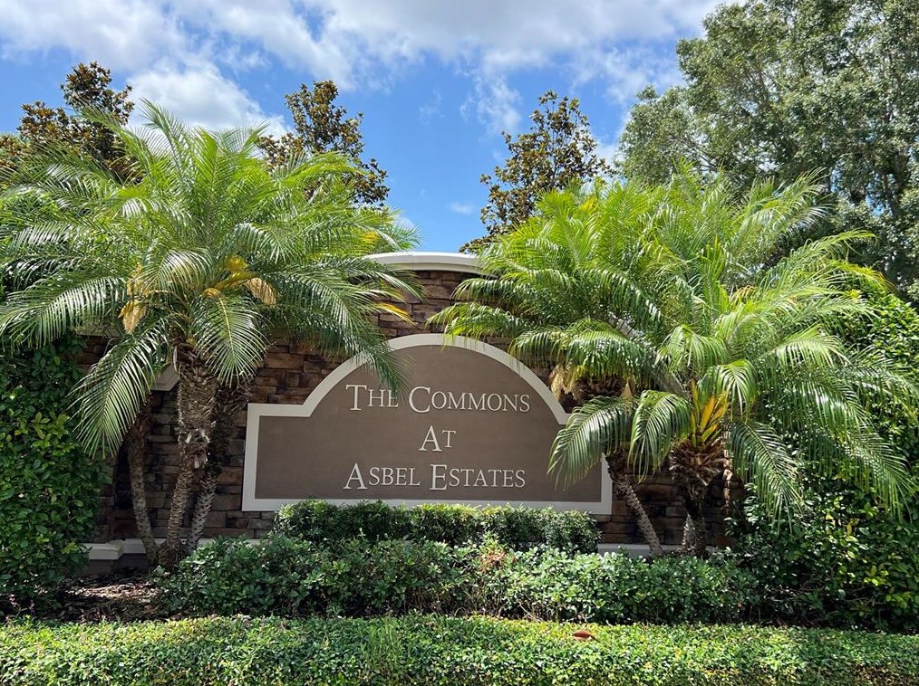 18329 Dajana Ave, Land O Lakes, FL 34638