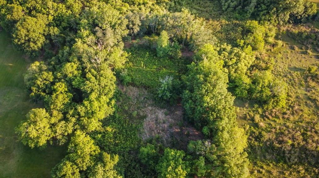 7803 Four Pines Rd, Plant City FL  33565-3129 exterior