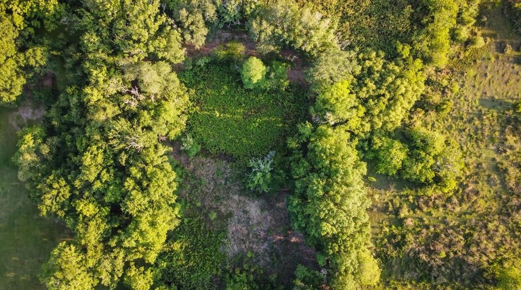 7803 Four Pines Rd, Plant City FL  33565-3129 exterior