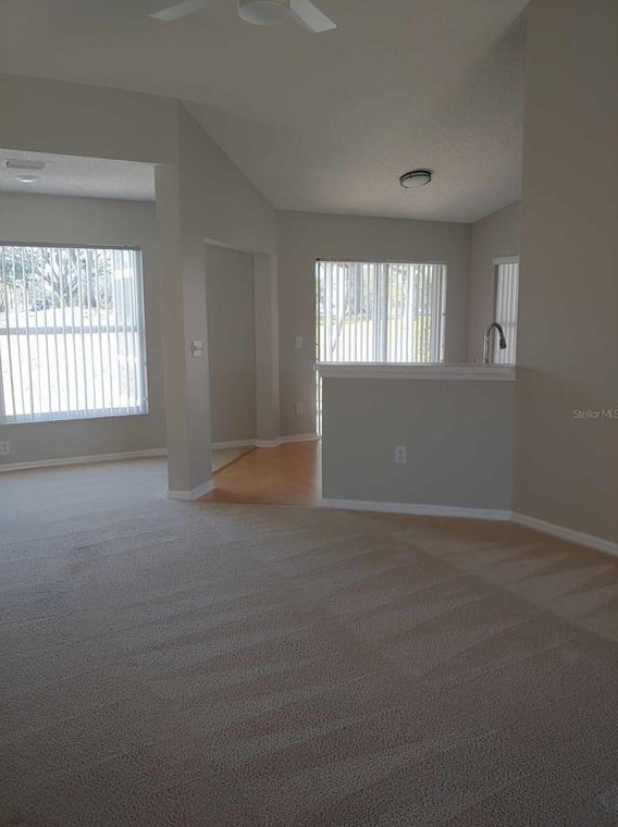 318 Caloosa Palms Ct, Ruskin FL 33573-6933 exterior