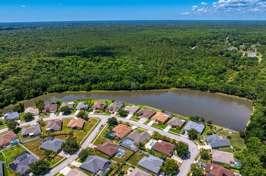 24704 Blazing Trl Way, Land O Lakes FL  34639-9585 exterior