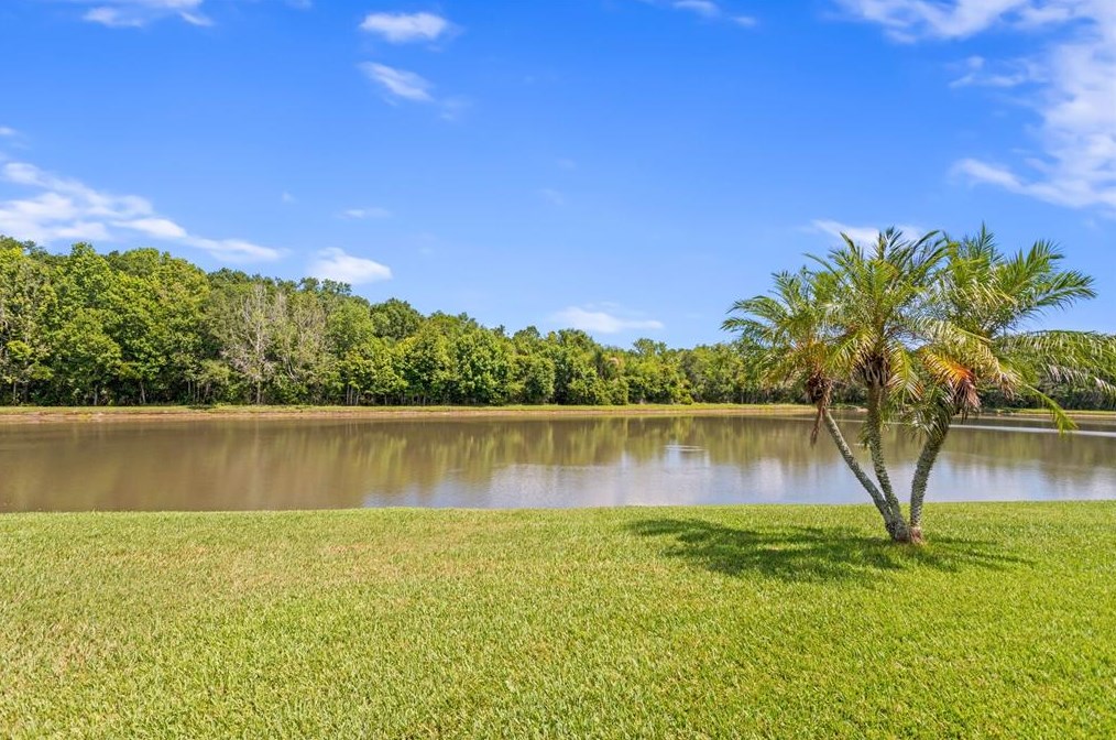 24704 Blazing Trl Way, Land O Lakes FL  34639-9585 exterior