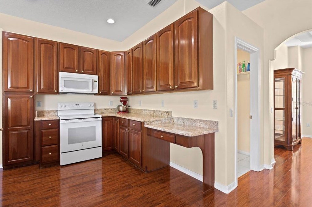 24704 Blazing Trl Way, Land O Lakes FL  34639-9585 exterior