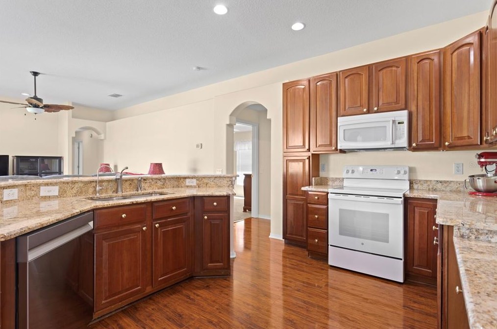 24704 Blazing Trl Way, Land O Lakes FL  34639-9585 exterior