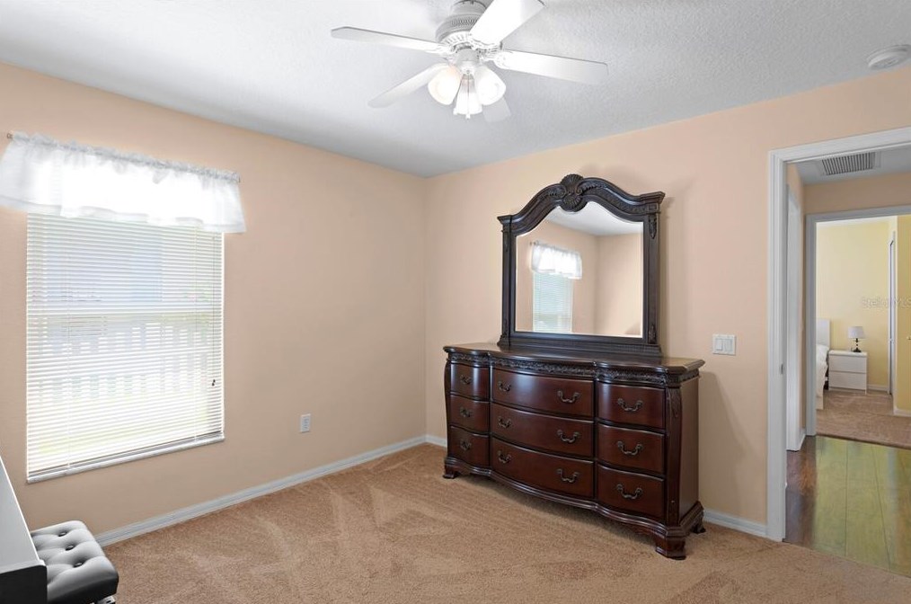 24704 Blazing Trl Way, Land O Lakes FL  34639-9585 exterior