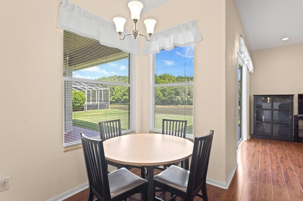 24704 Blazing Trl Way, Land O Lakes FL  34639-9585 exterior