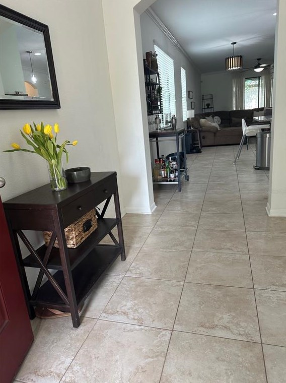 11410 Blue Crane St, Riverview FL  33569-2742 exterior