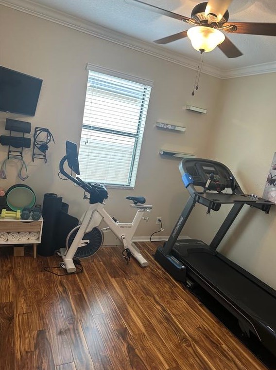 11410 Blue Crane St, Riverview FL  33569-2742 exterior