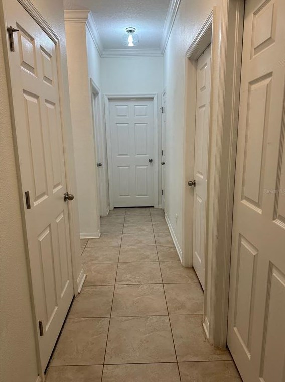 11410 Blue Crane St, Riverview FL  33569-2742 exterior