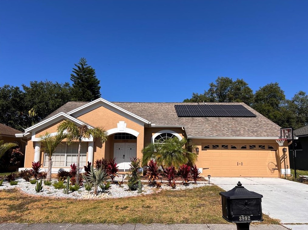 3992 Jenita Dr, Palm Harbor, FL 34685