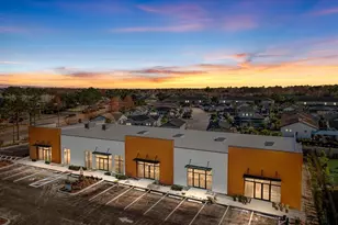 16232 Redstone Wy, Odessa, FL 33556 - Photo 1