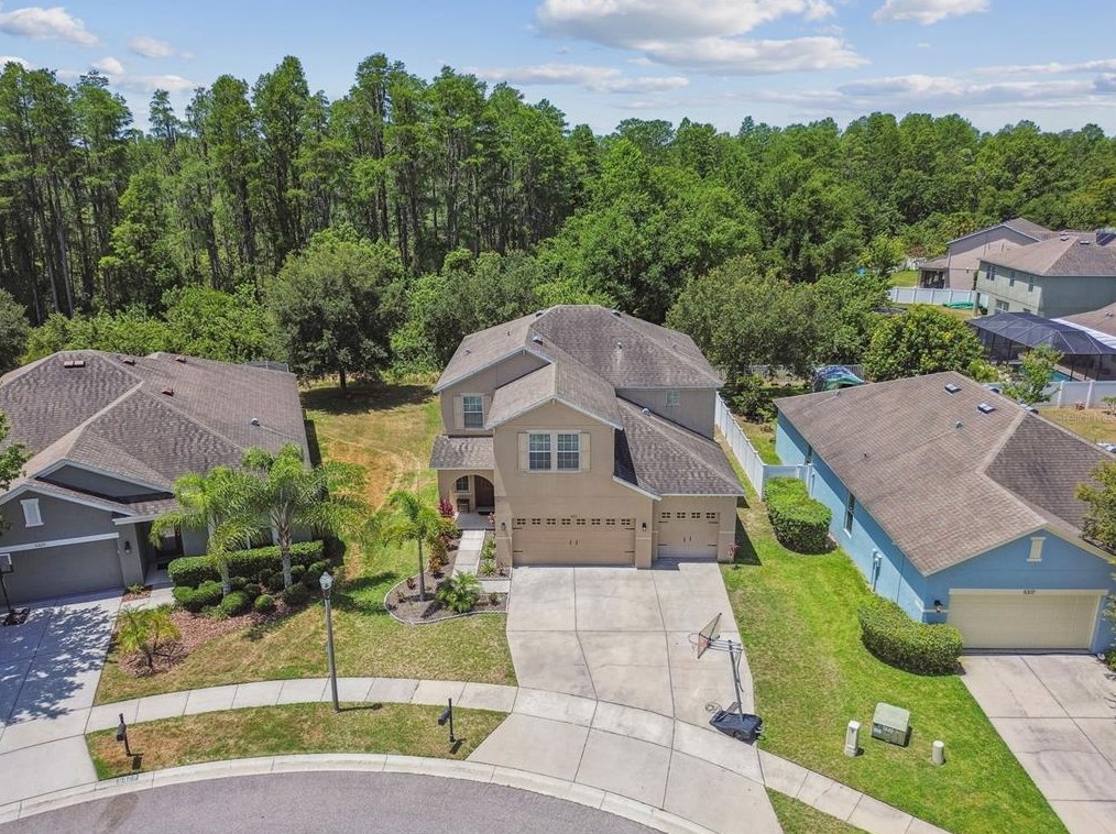 5323 Dittany Ct, Land O Lakes FL  34639-2826 exterior