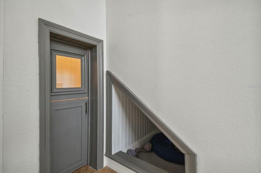 5323 Dittany Ct, Land O Lakes FL  34639-2826 exterior