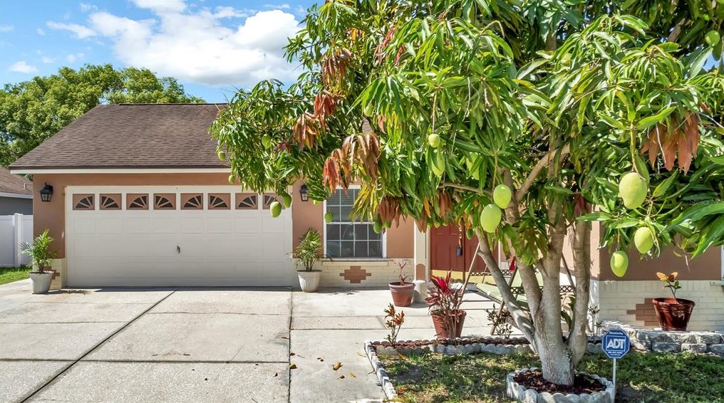 5918 Taywood Dr, Tampa FL 33624-7023 exterior