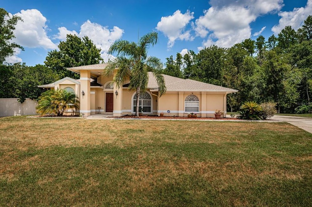 25015 Acorn Dr, Land O Lakes, FL 34639