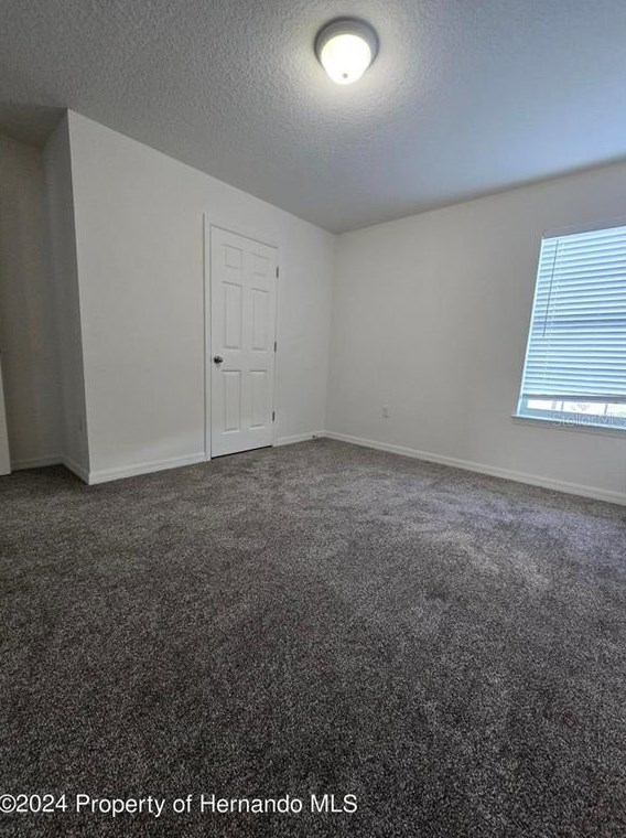 6546 Wirevine Dr, Brooksville FL  34602 exterior