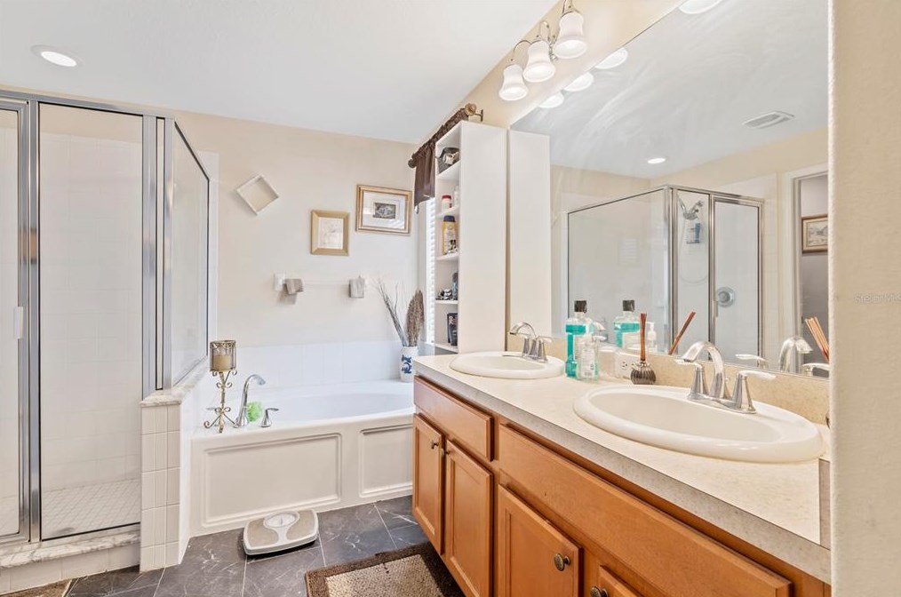 10632 Shady Preserve Dr, Riverview FL  33579-9310 exterior