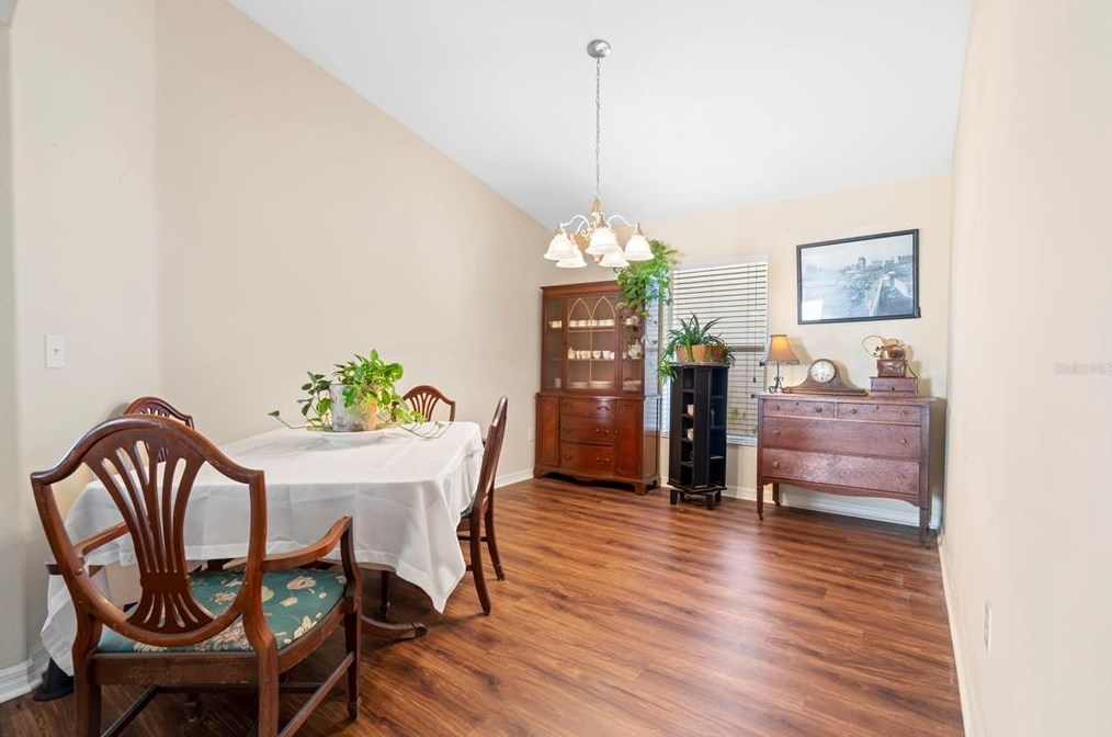 10632 Shady Preserve Dr, Riverview FL  33579-9310 exterior