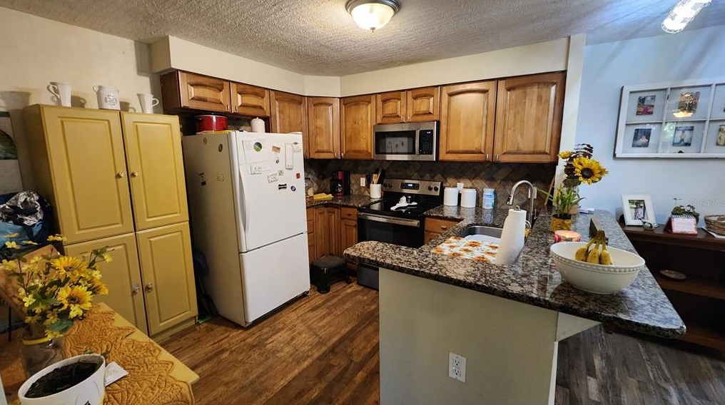 14834 Mitchell St, Dade City FL  33523-2237 exterior