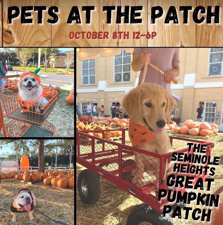 5706 9th St, Tampa FL 33604-6863 exterior