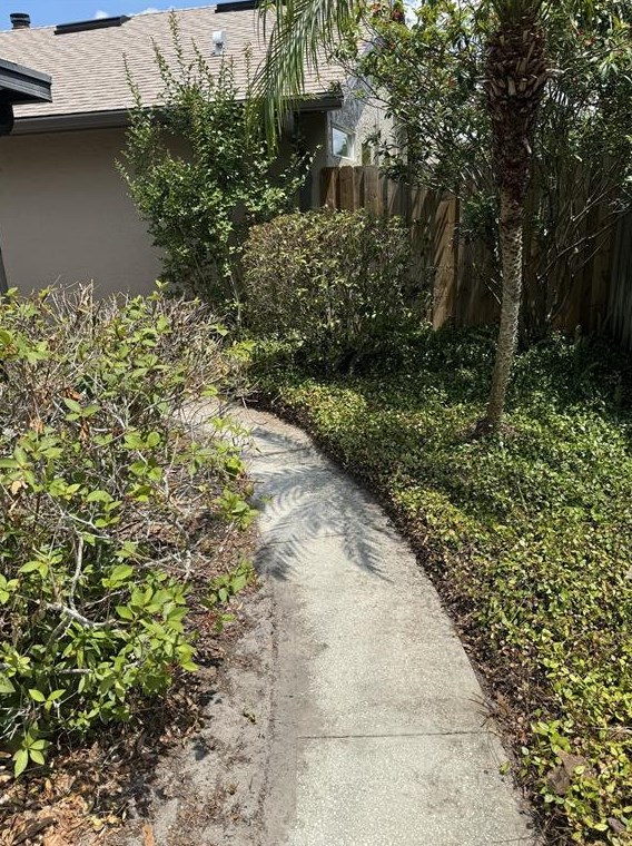 783 Bonnie Blvd, Palm Harbor FL  34684-3904 exterior