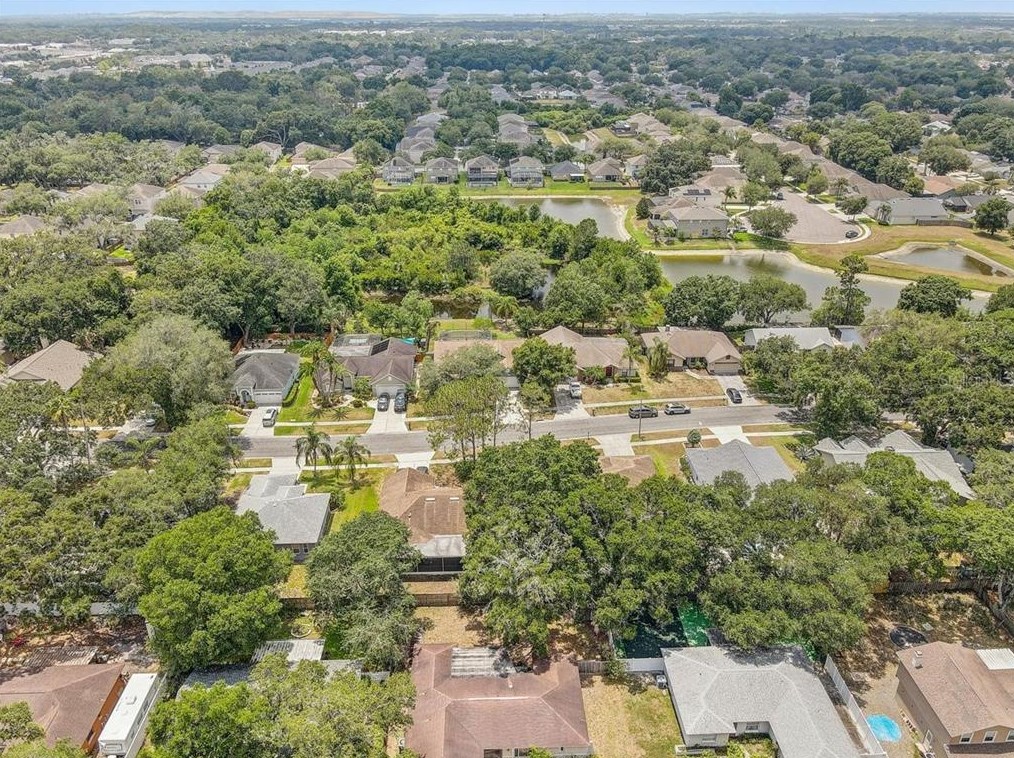 5717 Erhardt Dr, Riverview FL  33578-3754 exterior