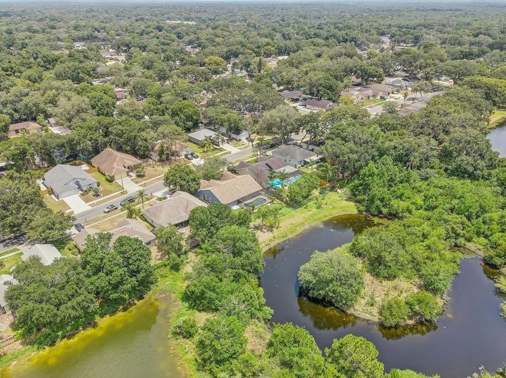 5717 Erhardt Dr, Riverview FL  33578-3754 exterior