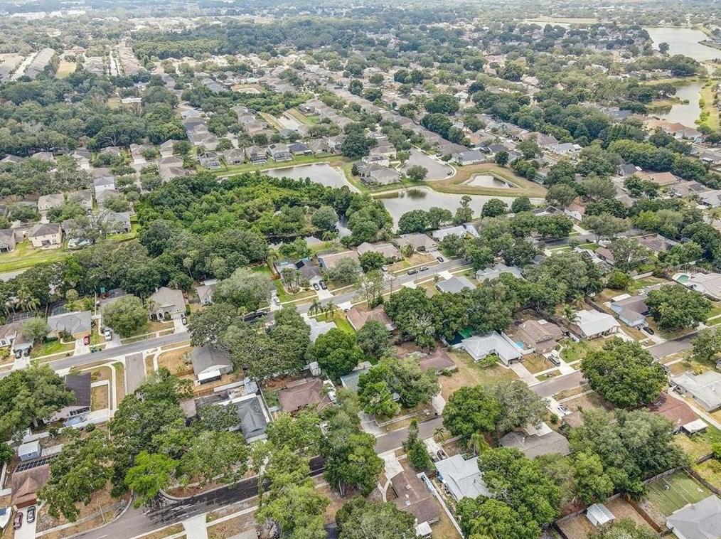 5717 Erhardt Dr, Riverview FL  33578-3754 exterior