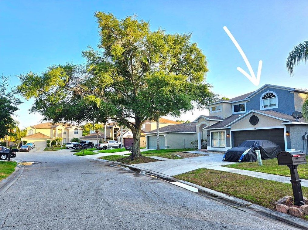 1249 Salt Clay Ct, Zephyrhills, FL 33544-6635