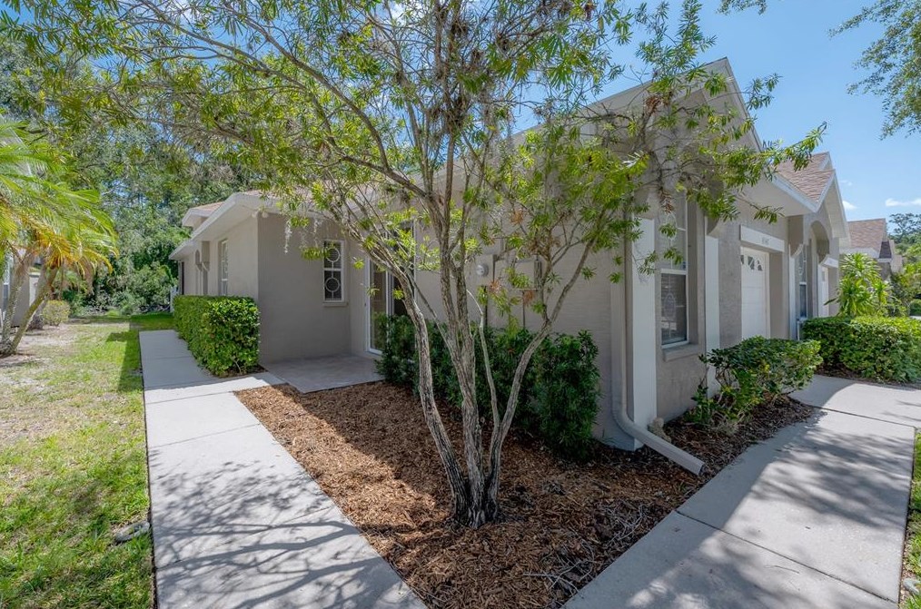 4347 Brooker Creek Dr, Palm Harbor, FL 34685