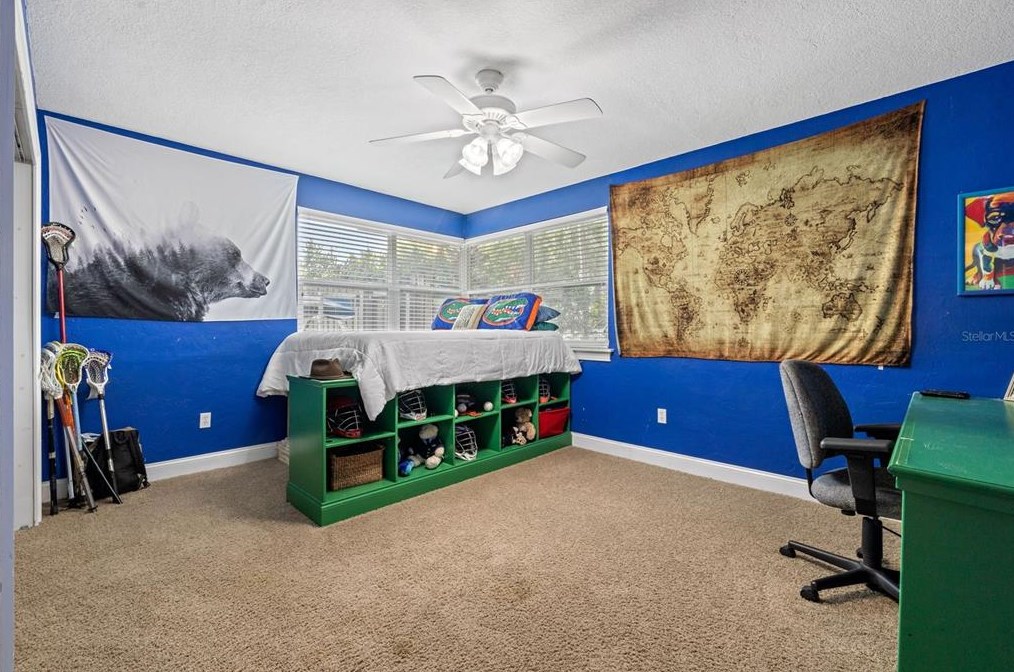 4107 Leona St, Tampa FL 33629-8508 exterior