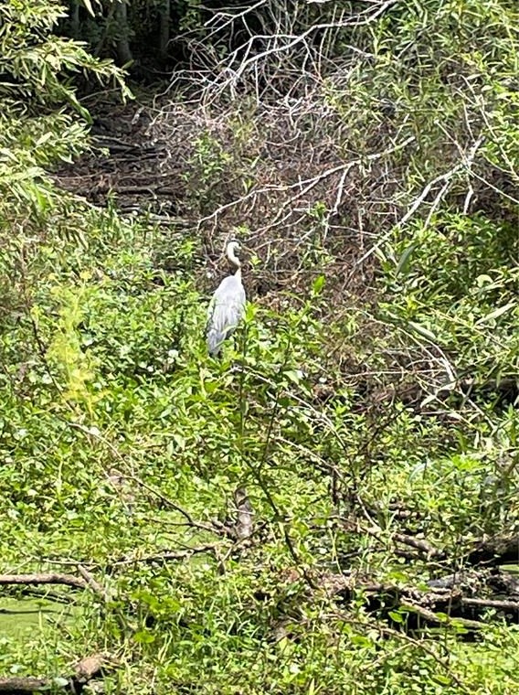 4539 Windee Ave, Lakeland FL  33811-2821 exterior