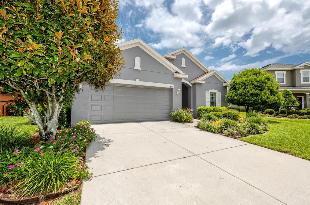 11851 Chaplain Pl, New Port Richey, FL 34654-4515
