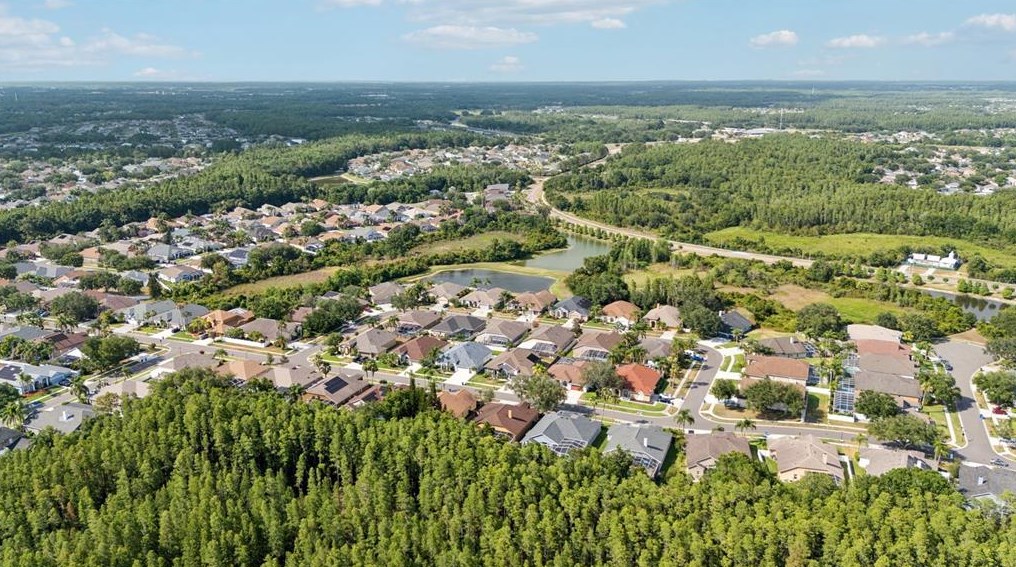 10010 Kingshyre Way, Tampa FL 33647-2875 exterior