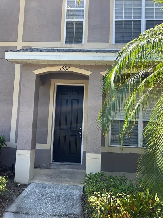 11582 Declaration Dr, Tampa, FL 33635-6341
