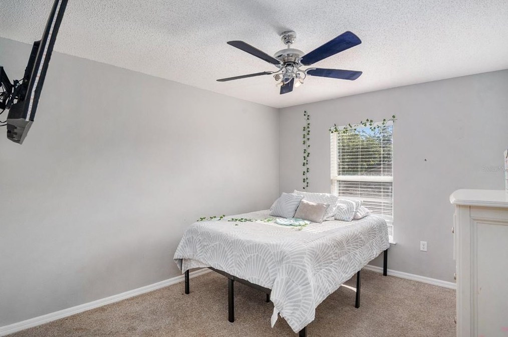 6538 Tabogi Trl, Zephyrhills FL 33545-1362 exterior