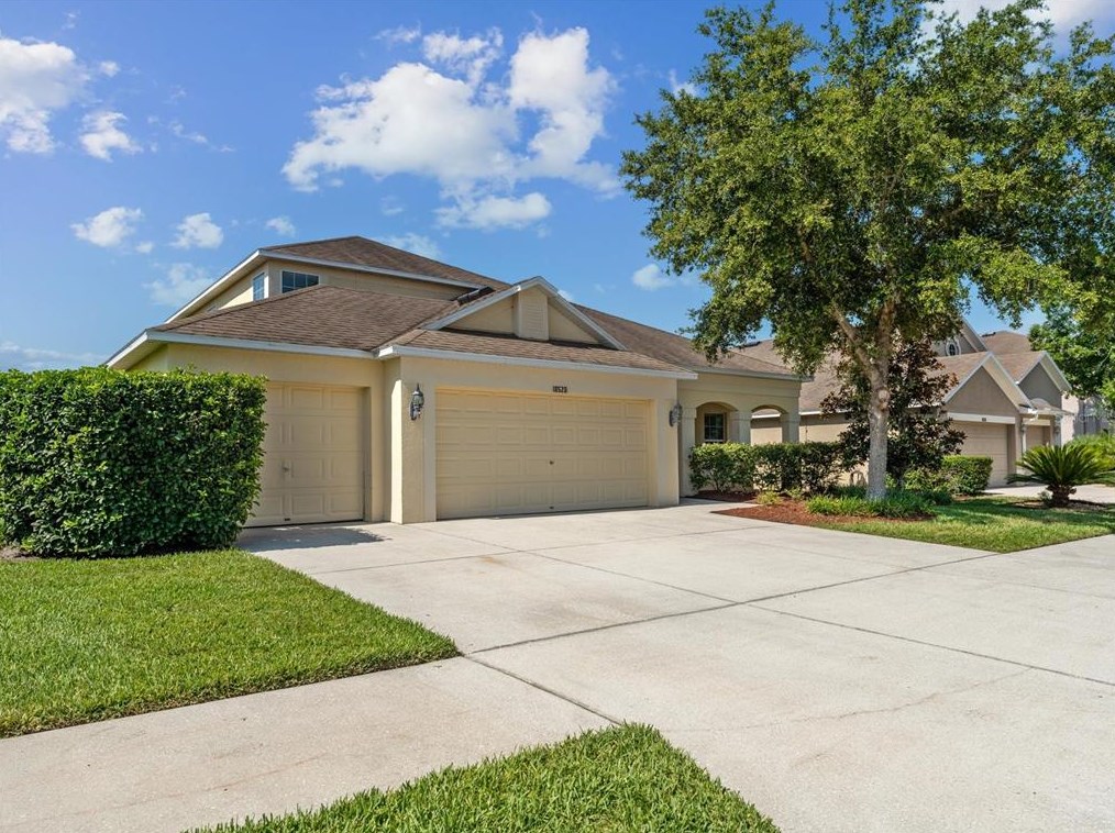 18528 New London Ave, Land O Lakes, FL 34638