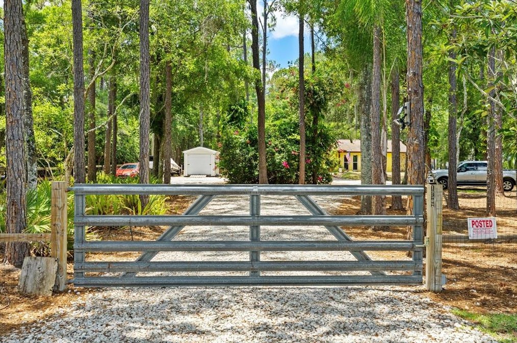 19502 Pine Tree Rd, Odessa, FL 33556-3951