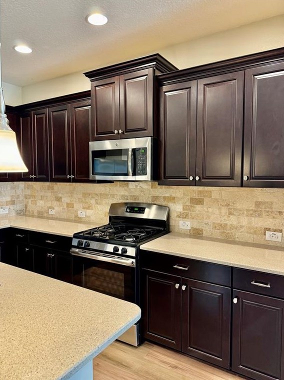 13518 Circa Crossing Dr, Lithia FL  33547 exterior