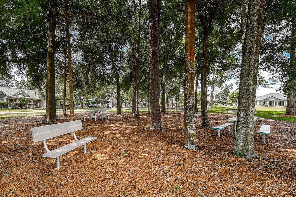 4240 106th St, Belleview FL  34420-3630 exterior