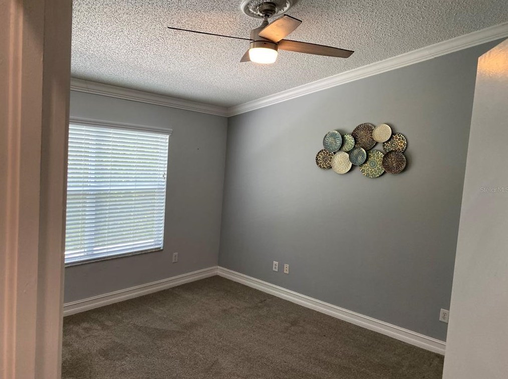 30133 Barnaby Ln, Zephyrhills FL 33543-3701 exterior