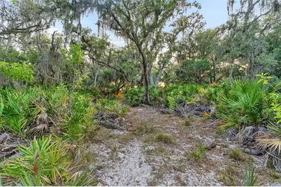 1980 Lake Buffum Road E, Fort Meade, FL 33841 - Photo 50