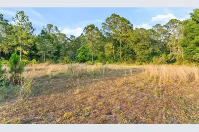 1980 Lake Buffum Road E, Fort Meade, FL 33841 - Photo 8